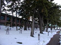 20051229kosei (8).jpg